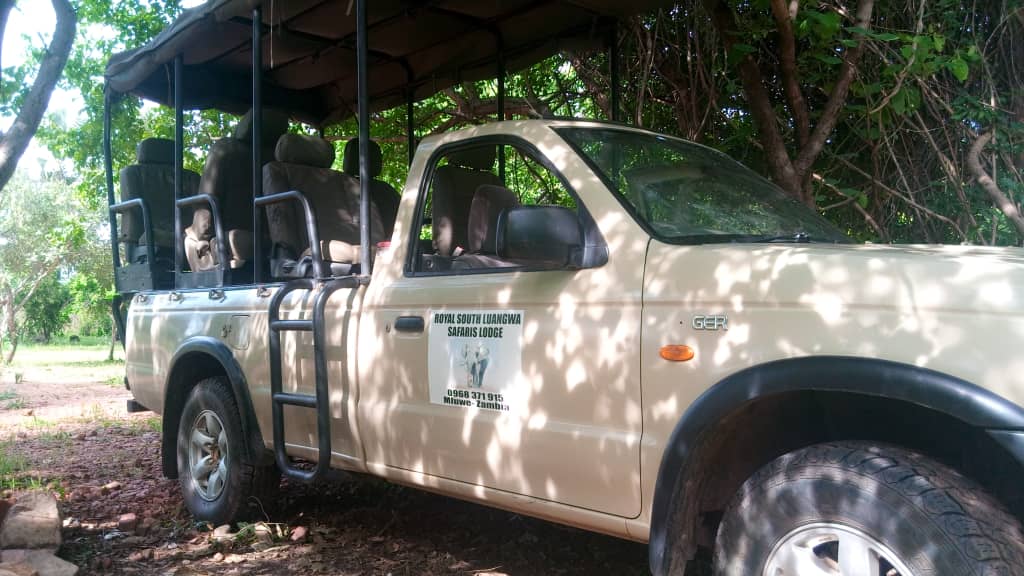 South Luangwa Wildlife